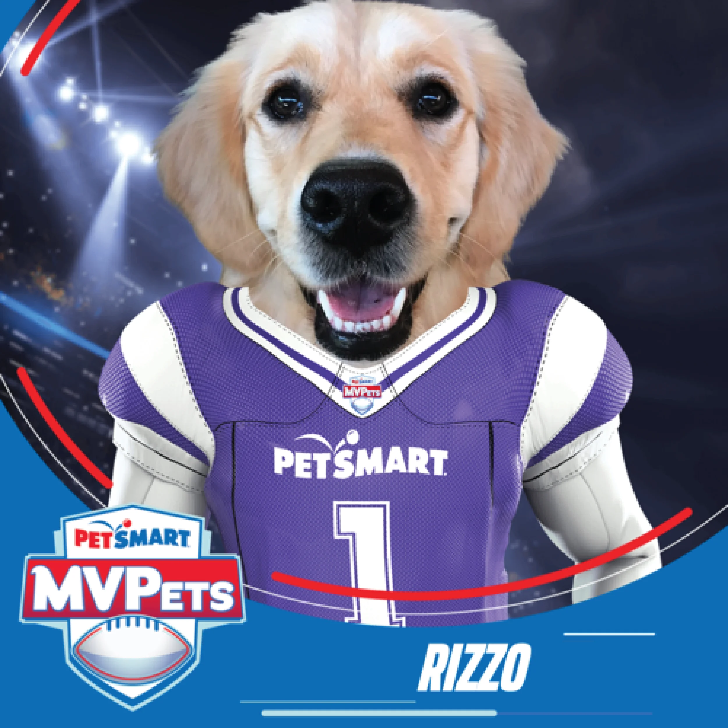 PetSmart MVPet